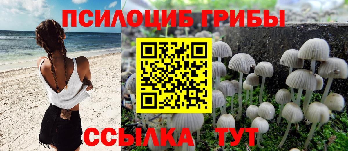 Псилоцибиновые грибы GOLDEN TEACHER  Вход с VPN  Ишимбай 